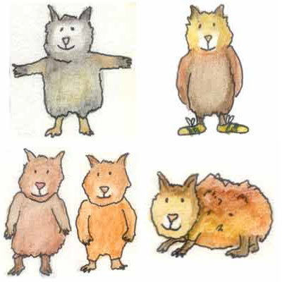 Werbeagentur K-Design: Illustrationen, Kinderbuchillustrationen Meerschweinchen