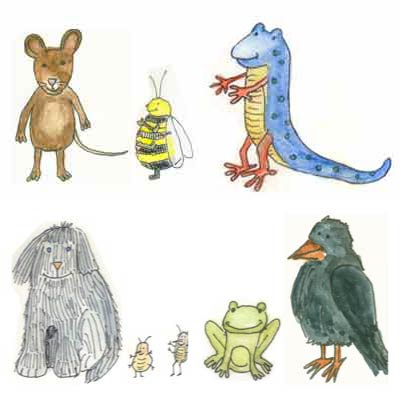 Werbeagentur K-Design: Illustrationen Illustration Kinderbuchillustrationen Tiere