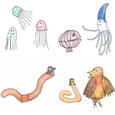 Werbeagentur K-Design: Illustrationen Kinderbuchillustrationen Tiere
