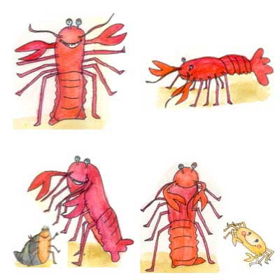 Werbeagentur K-Design: Illustrationen Kinderbuchillustrationen Languste und Krebs